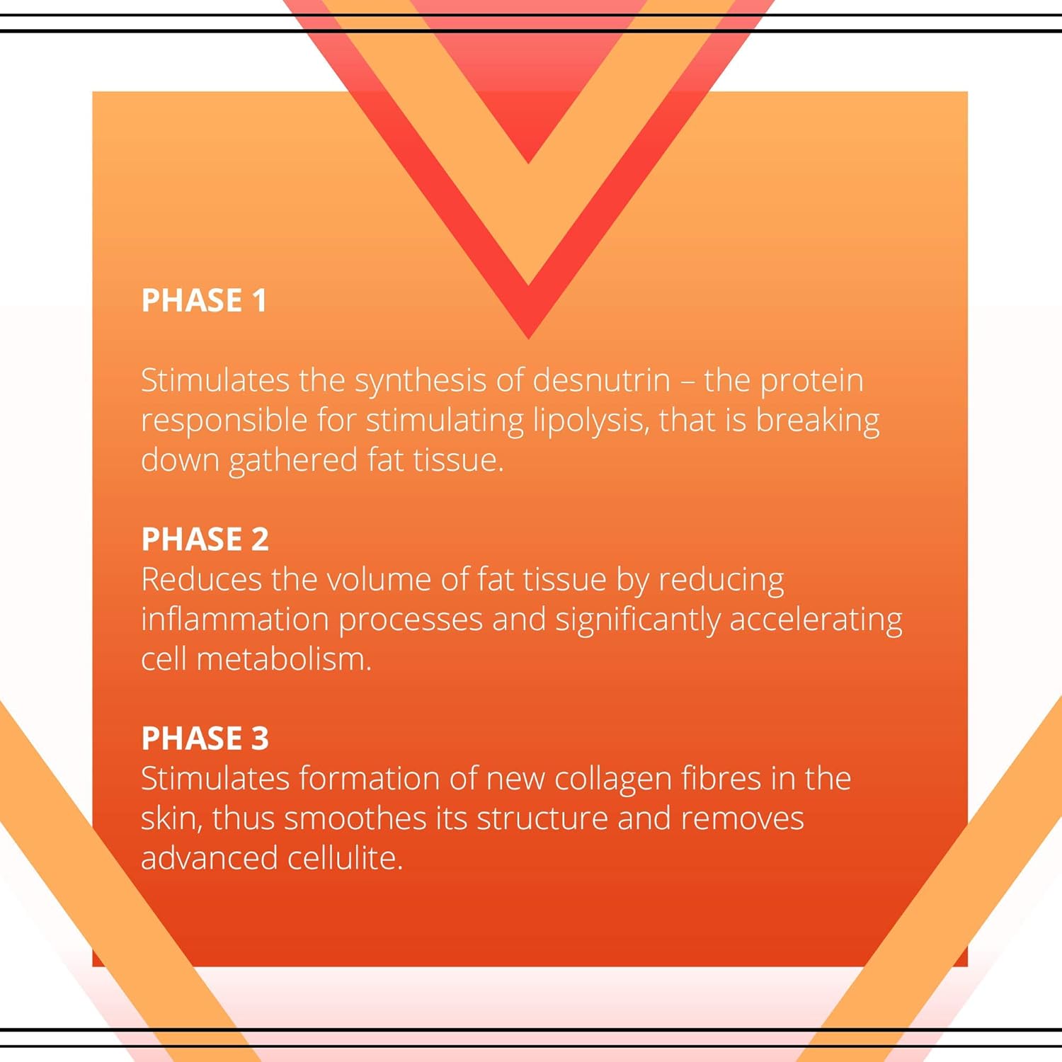 Eveline Slim Extreme 4D Liposuction Body Serum, 8.80 Fluid Ounce : Beauty & Personal Care