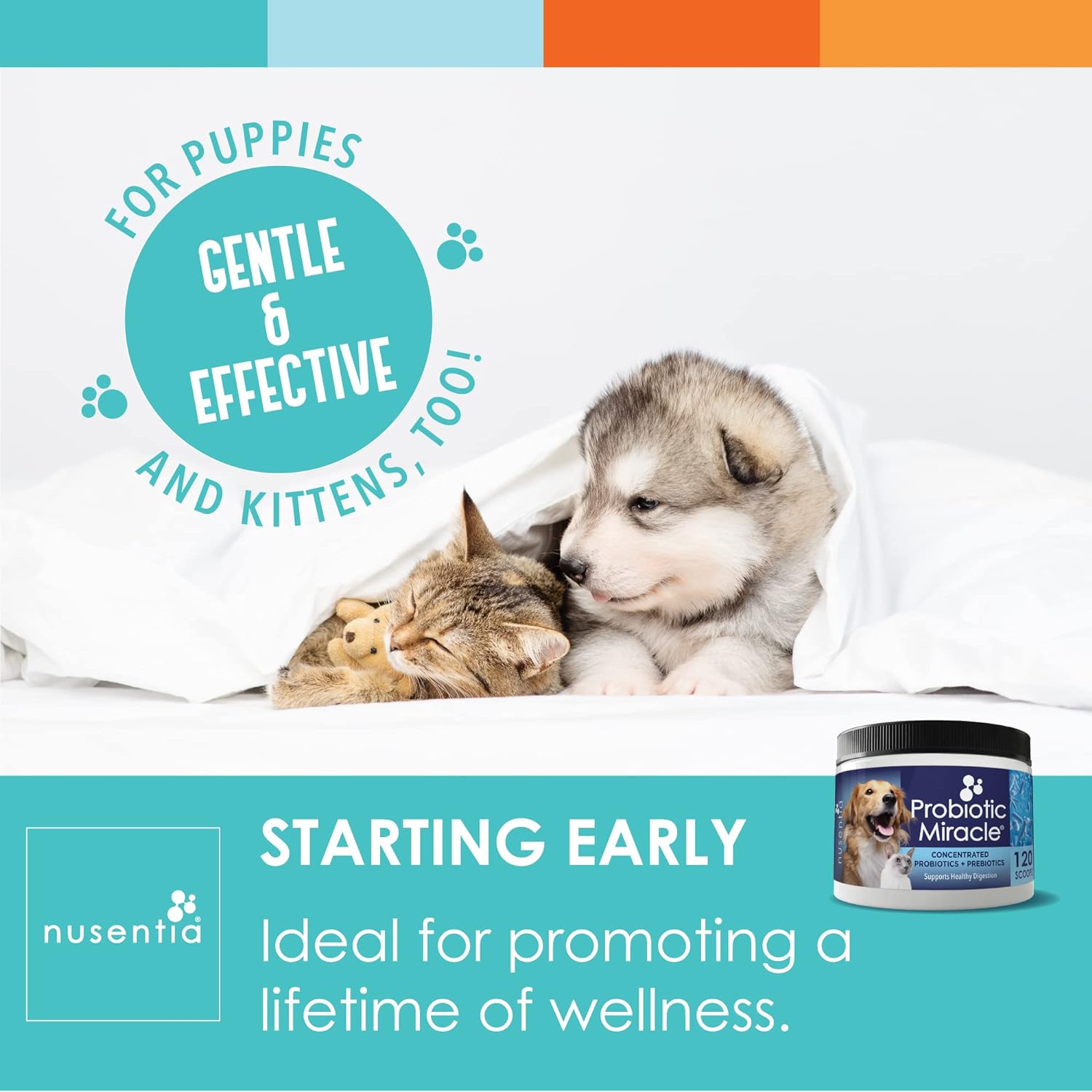 Probiotics for Cats & Dogs - (120 Scoops) Probiotic Miracle - Advanced Formula to Stop Diarrhea, Loose Stool, and Yeast. : Pet Probiotic Nutritional Supplements : Pet Supplies