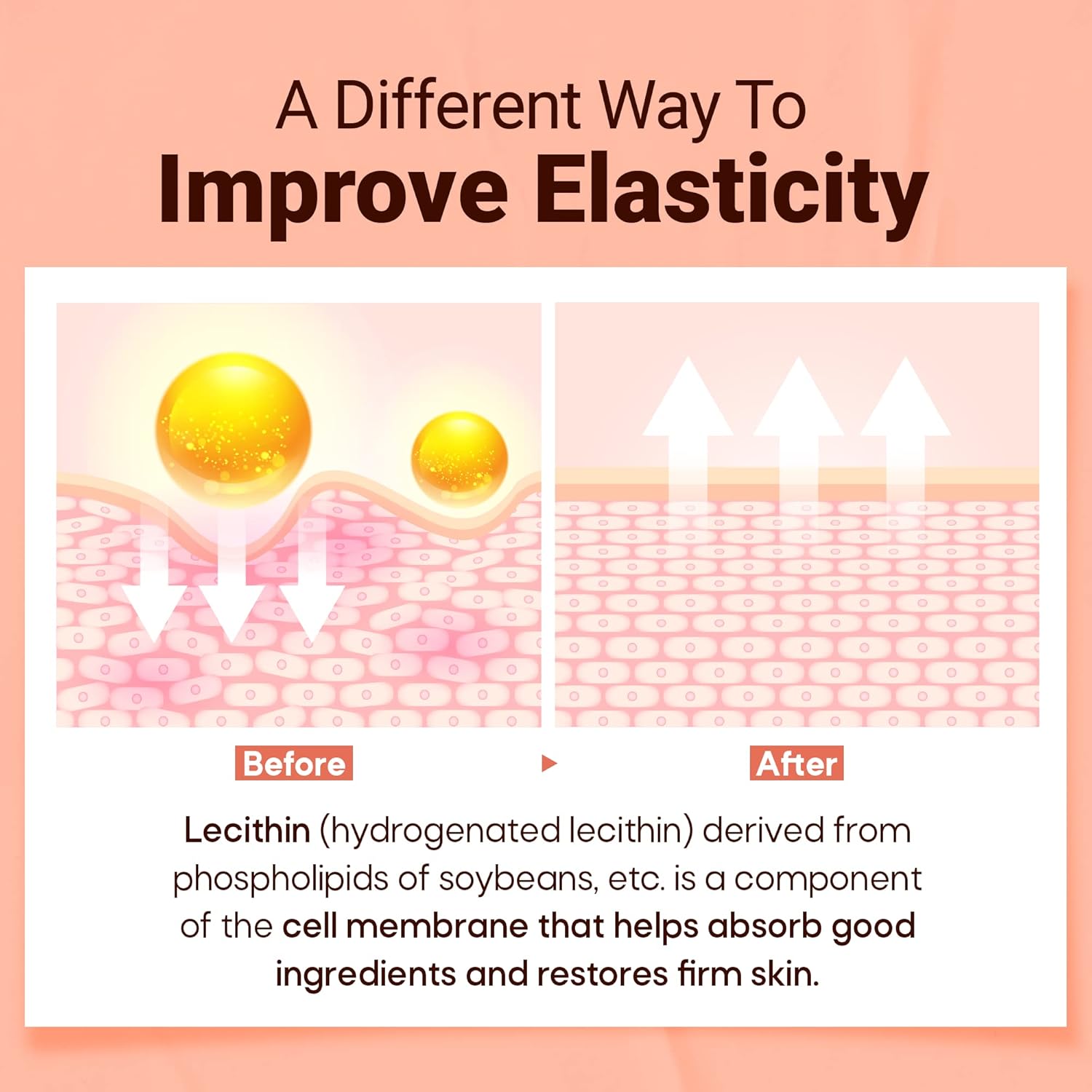 Meditime Gold Lecithin Cream | Facial Firming And Lifting Cream | Nourishing Collagen Cream For Dry Skin | Korean Skin Care | Night Care Cream For Wrinkle | 1.76 Fl Oz : Beauty & Personal Care