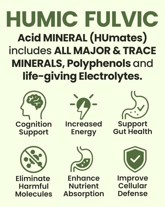 Raw Liquid Mineral – Organic Humic Acid & Fulvic Acid– Major & Trace Minerals & Electrolytes Supplement – Plant-Based For Immune, Gut & Detox Support (8 Oz)