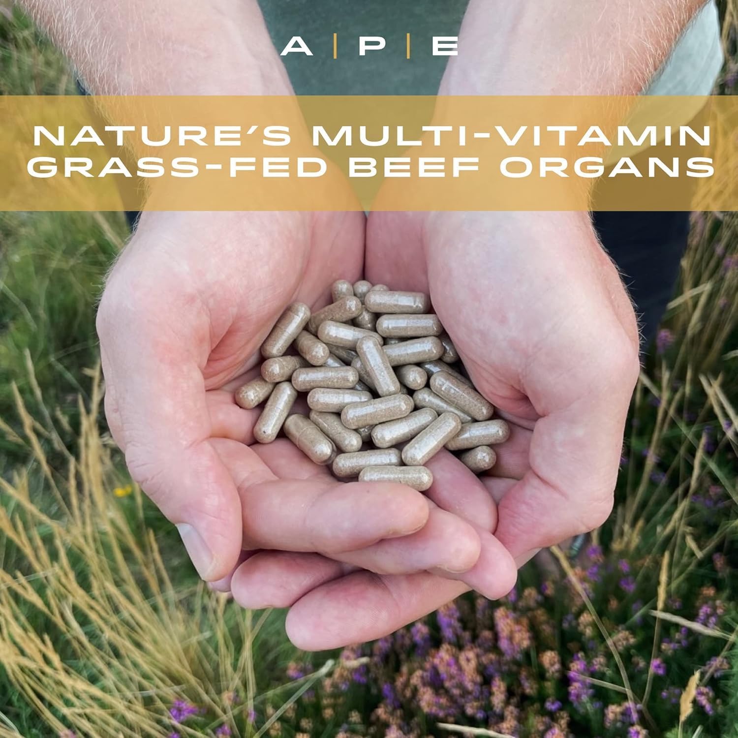 APE Nutrition Beef Organs Grass Fed - Liver Kidney Heart Organ Capsules, Ancestral Supplement UK, 100% Grass Fed & Finished, No Antibiotics Hormones or GMOs, 180 500mg Capsules : Amazon.co.uk: Health & Personal Care