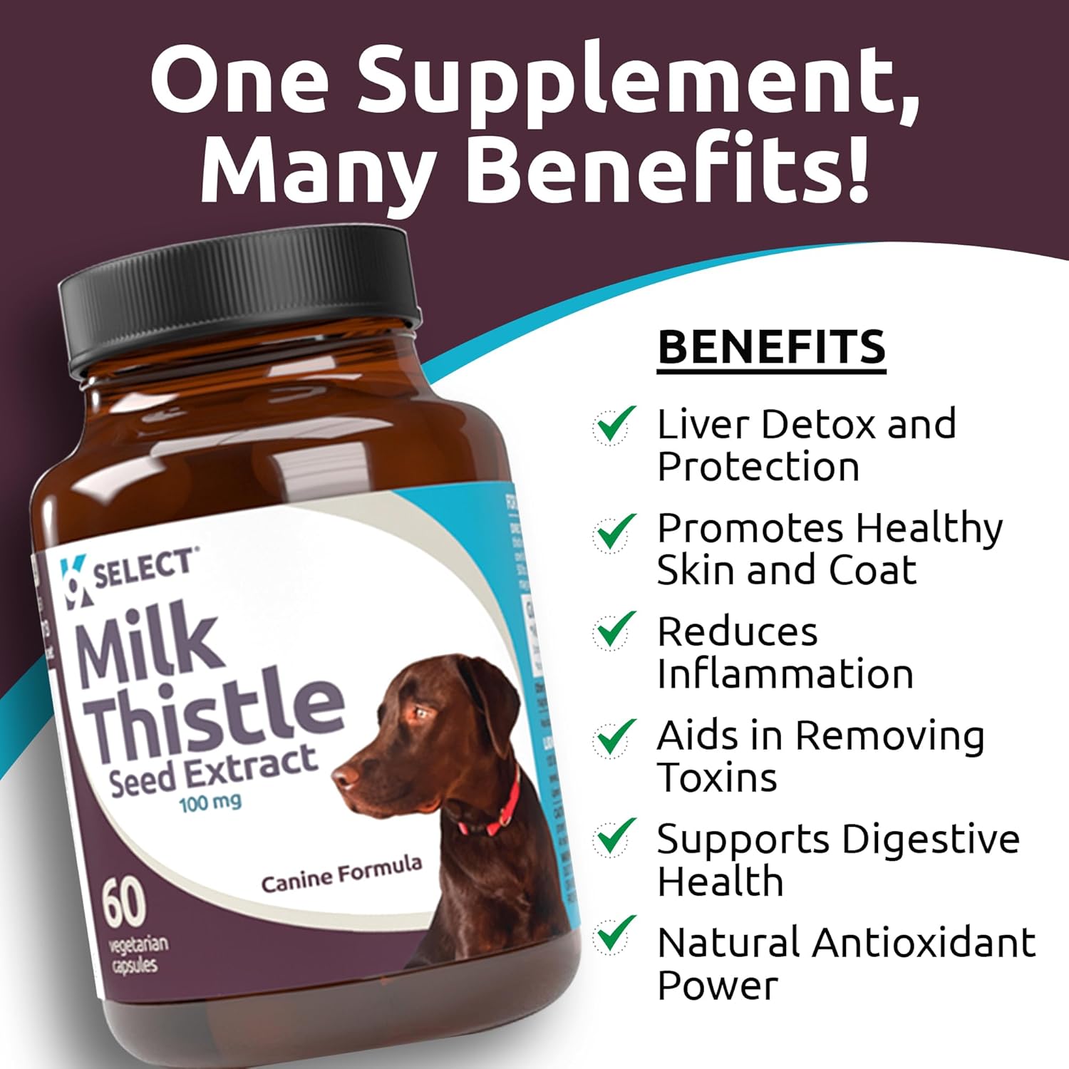 K9 Select Milk Thistle For Dogs, 100Mg - 60 Vegetable Capsules - Canine Liver Health Milk Thistle Supplement - Milk Herbal : Pet Antioxidant Nutritional Supplements : Pet Supplies