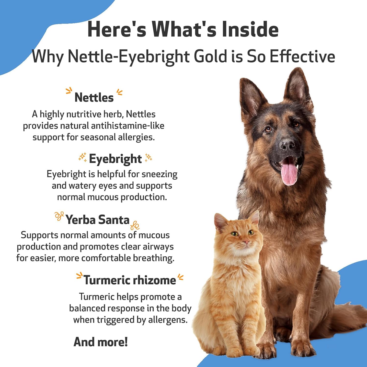 Pet Wellbeing Nettle-Eyebright Gold for Dogs & Cats - Vet-Formulated - Seasonal Sneezing, Itching, Watery Eyes - Natural Herbal Supplement 4 oz (118 ml) : Pet Supplies