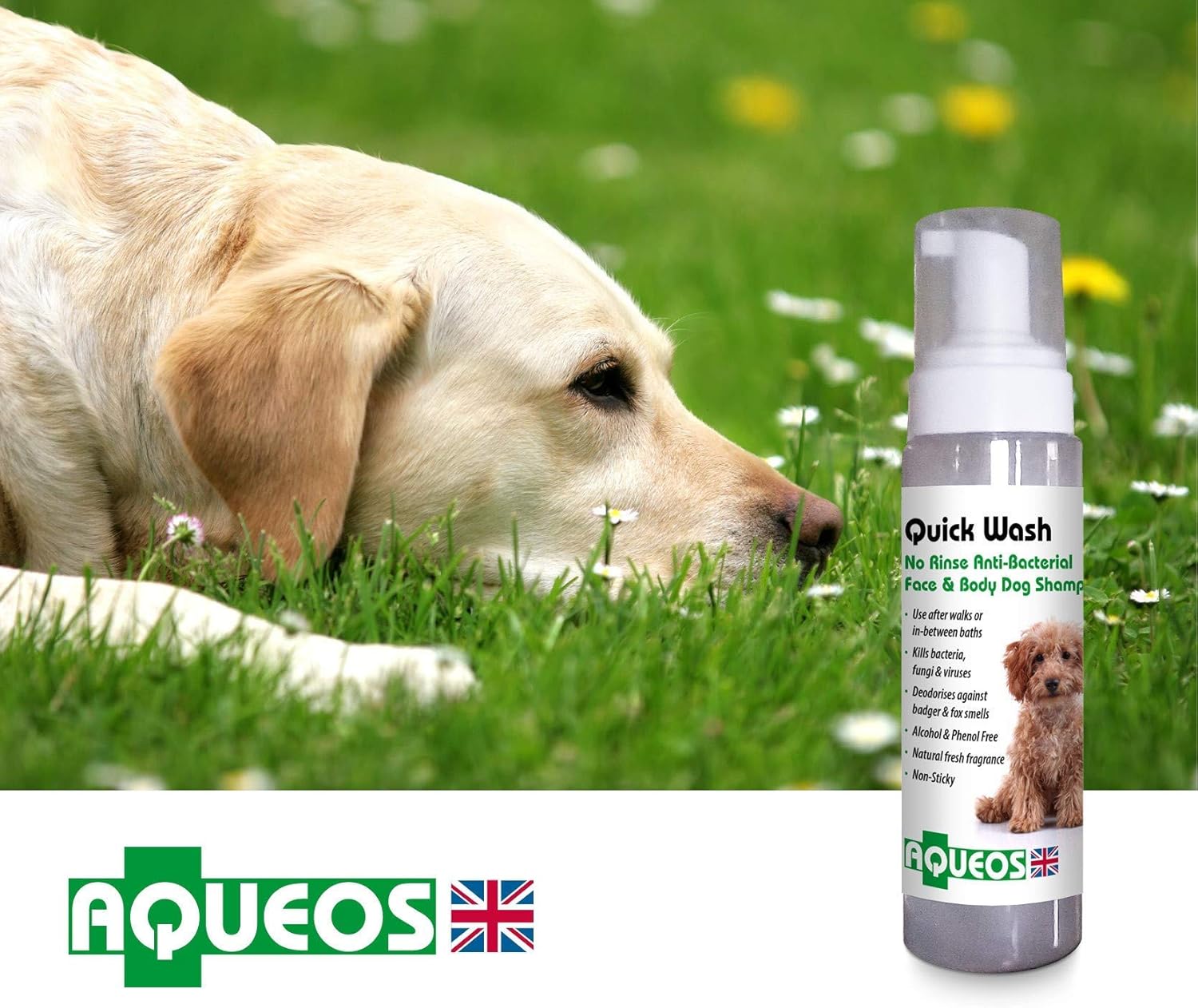Aqueos Quick Wash No Rinse Dry Shampoo for Dogs | Antiviral, Antibacterial Waterless Shampoo | Deodorising & Disinfectant for Smelly Dogs | 200ml : Amazon.co.uk: Pet Supplies
