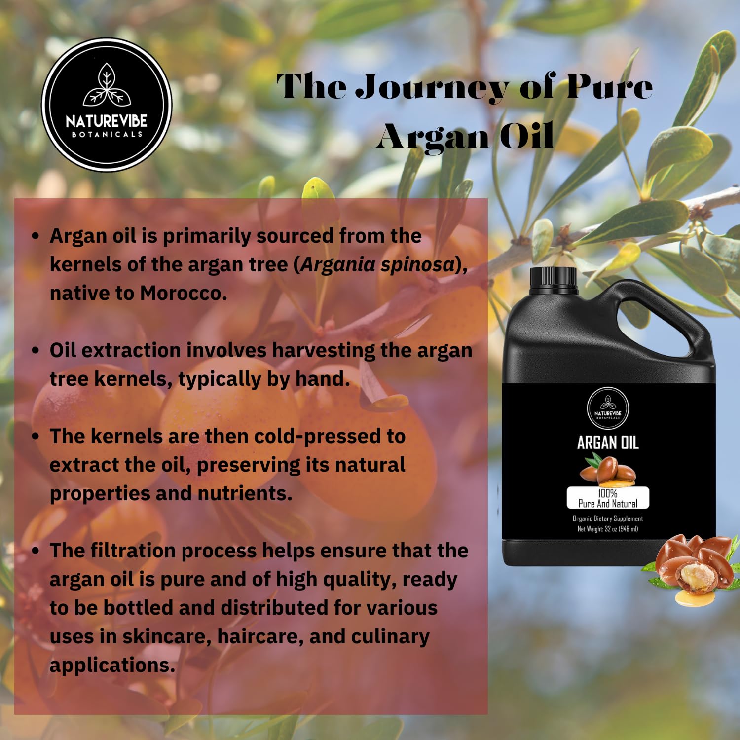 Naturevibe Botanicals Argan Oil 32 Ounces 100% Pure & Natural Morocco Oil | Cold Pressed | Great for Skin, Nails & Hair | Non-Greasy Body Oil | Face Moisturiser (946 ml) : Health & Household