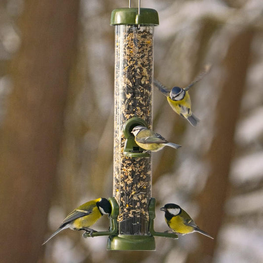 Medium Metal Bird Feeder for Garden and Wild Birds - Jacobi Jayne® Ring-Pull® Click Medium Seed Feeder, Green - Heavy Duty Metal Bird Feeder Perfect for Offering Seed Blends and Mixes?RP3-S2G