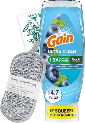 Bleam Clean Set - Gain EZ-Squeeze Dishwashing Liquid Dish Soap Honeyberry Hula 14.7 Oz - With A Double Side Multi-Purpose Microfiber Sponge Cleaning Tip Card - Set