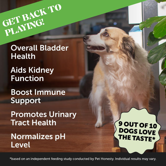 Pet Honesty Cranberry Bladder Health For Dogs – Contains Active Ingredients - Cranberry & D-Mannose To Help Support Dog Urinary Tract Health, Dog Bladder Support, & Kidney Support For Dogs (Bacon)