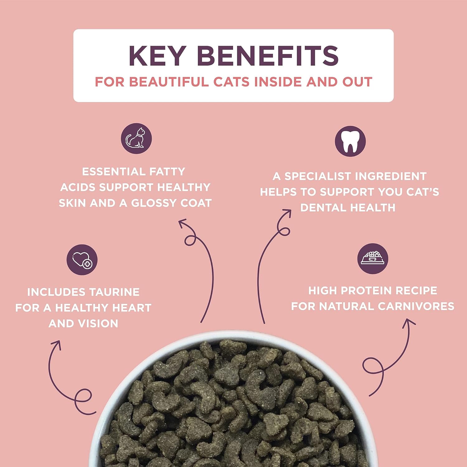 Burgess Dry Cat Food for Adult Cats Rich in Salmon, 10 kg :Pet Supplies