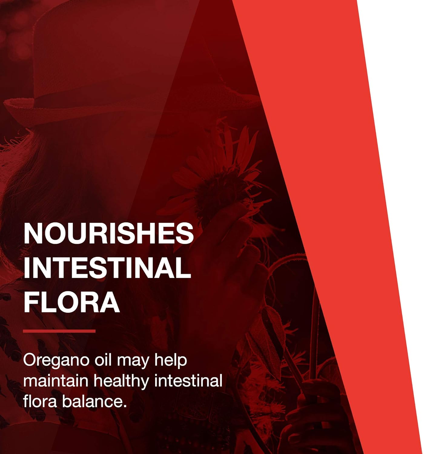 PROTOCOL FOR LIFE BALANCE - Oregano Oil - with Ginger and Fennel Oil, Helps Provide Intestinal Support, Immune System Function - 90 Softgels : Health & Household