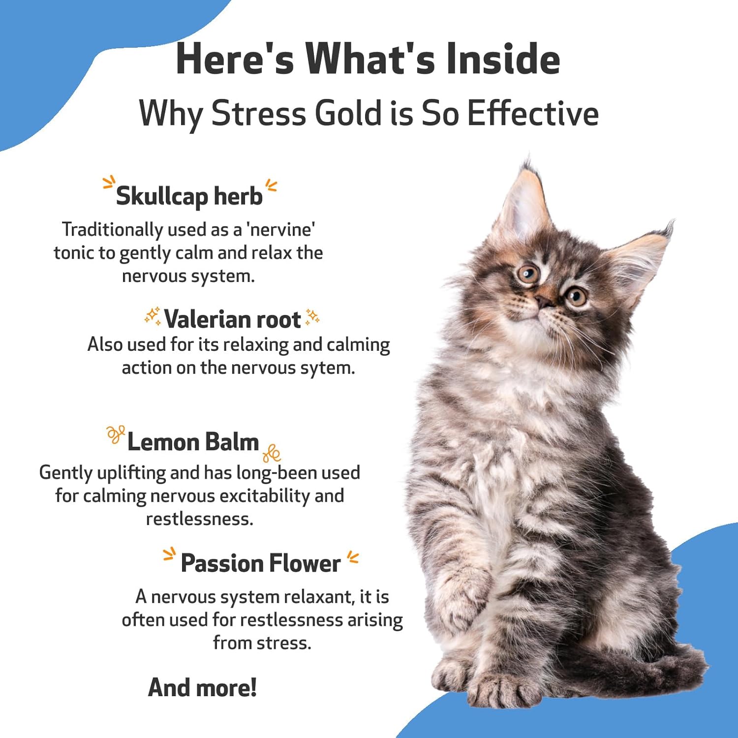 Pet Wellbeing Stress Gold for Cats - Vet-Formulated - Calming and Relaxing Support for High-Stress Situations - Natural Herbal Supplement 2 oz (59 ml) : Pet Supplies