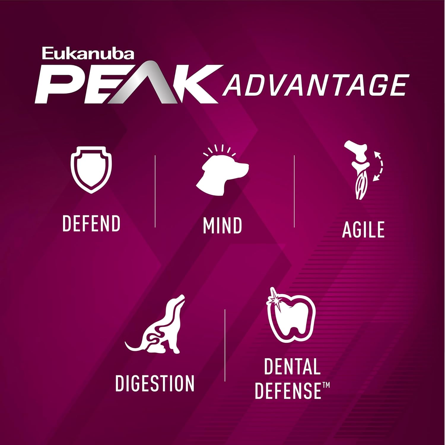 EUKANUBA Premium Performance 26/16 Exercise Small Bites Dry Dog Food 28 lb Bag : Pet Supplies