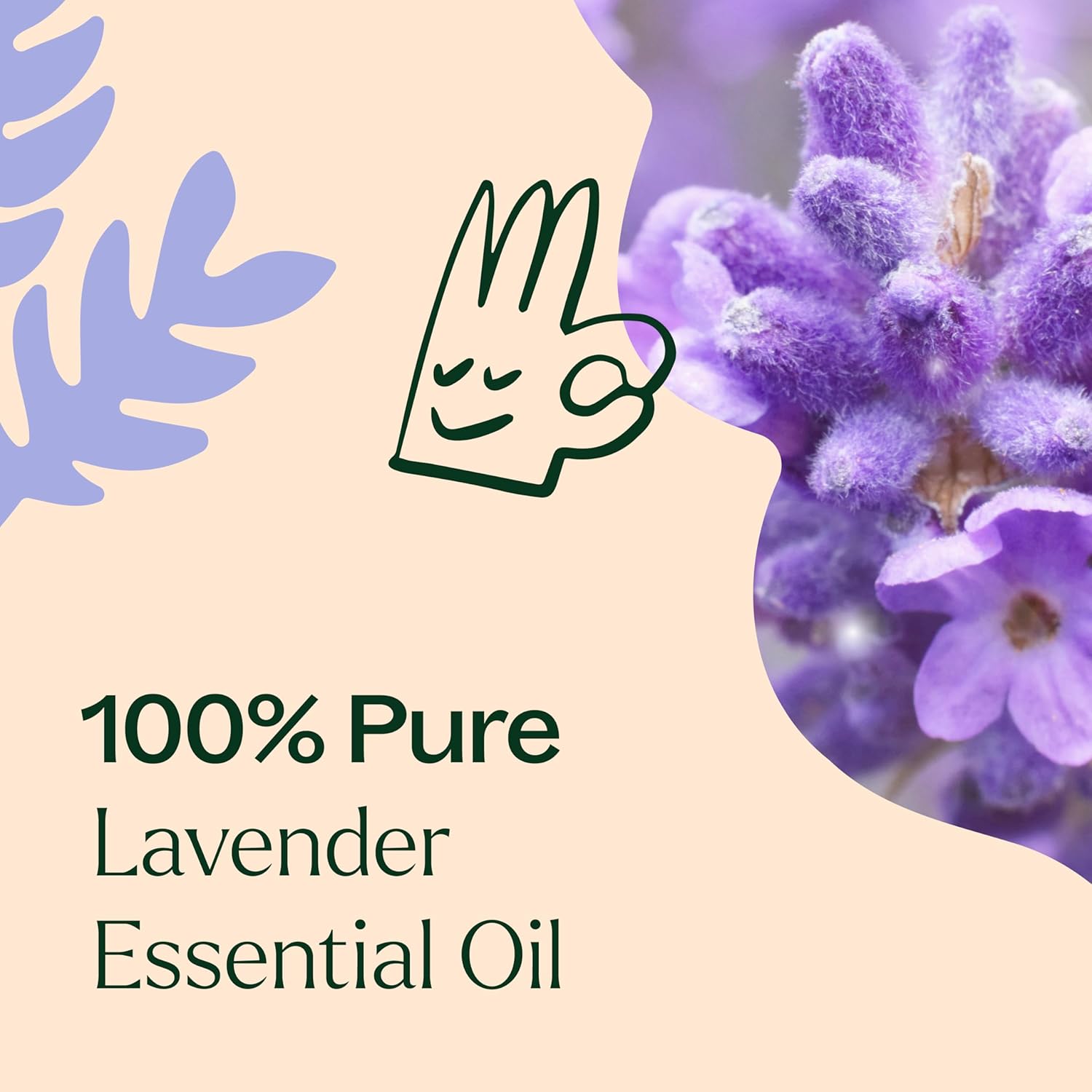Plant Therapy Lavender Essential Oil 100% Pure, Undiluted, Natural Aromatherapy, Therapeutic Grade 30 mL (1 oz) : Health & Household