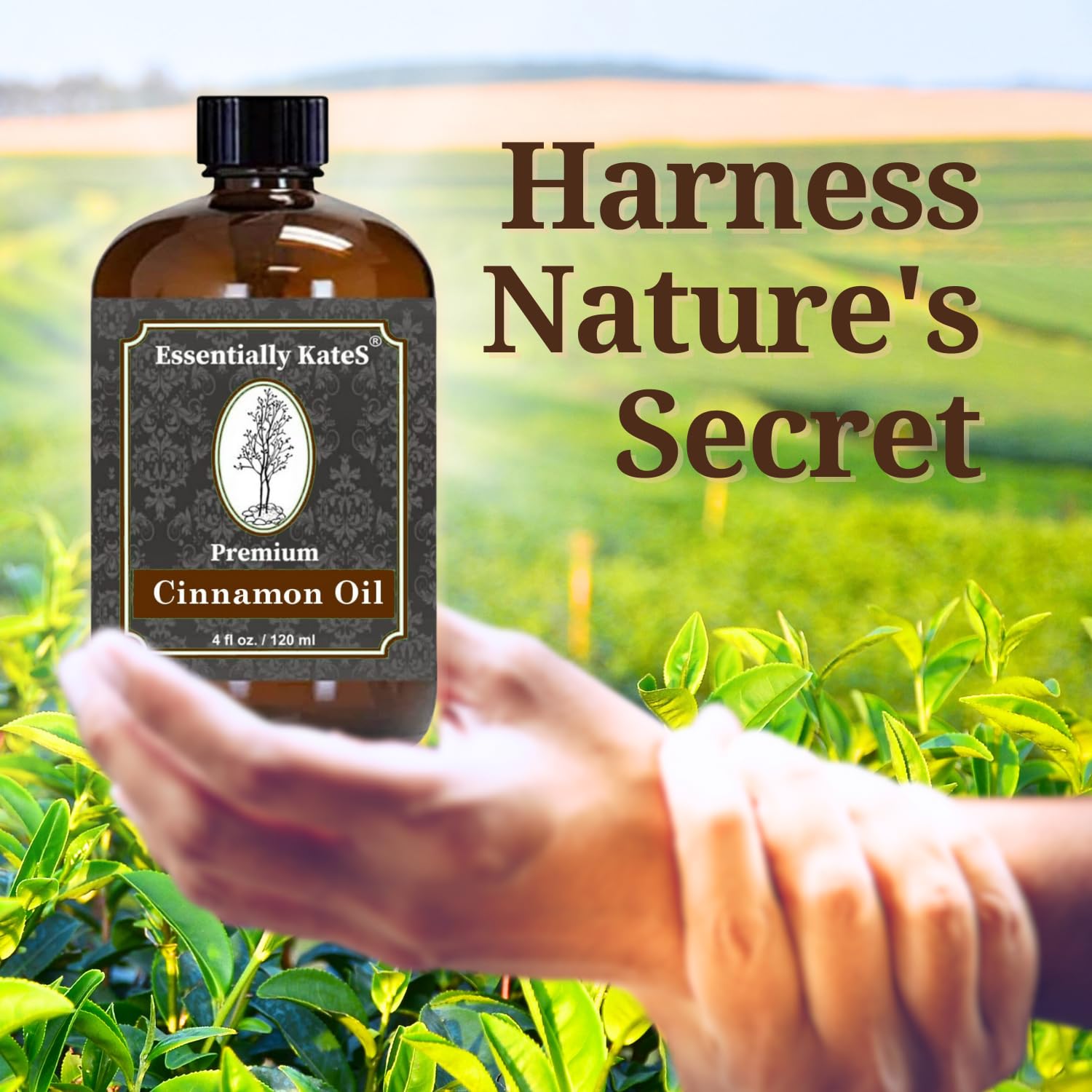 Essentially KateS Premium Cinnamon Oil 4 Fl Oz with Huge Dropper and Sprayer - 100% Pure, Natural & Therapeutic - Cleaning, DIY Soap, Diffuser, Aromatherapy, Garden and Kitchen - Indoor and Outdoor : Beauty & Personal Care