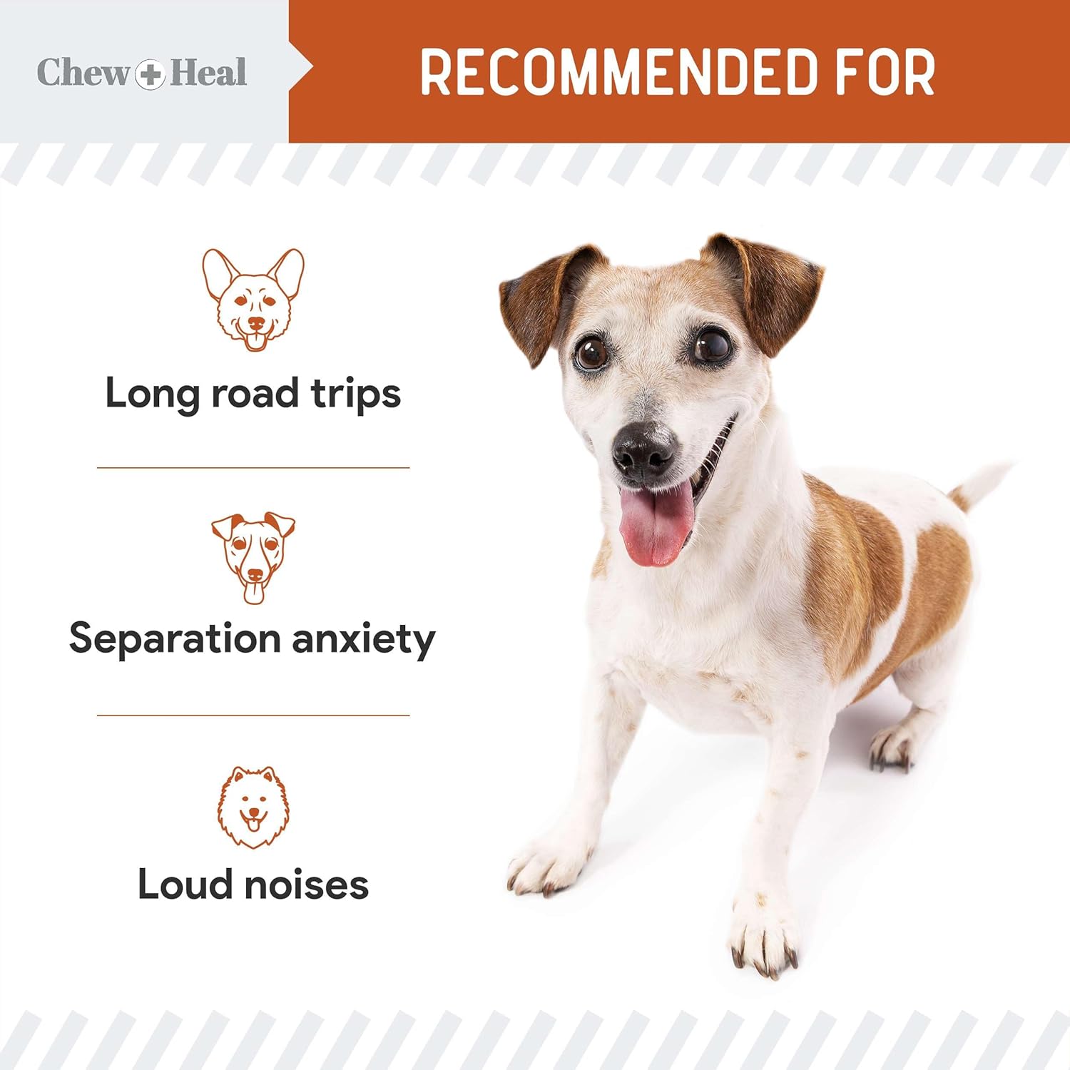 Calming Chews for Dogs - 30 Anxiety Relief Treats for Fireworks, Thunder, and Storms - Natural Dog Calming Treats for Large and Small Breeds with Thiamine, L-Tryptophan, Ginger, and Melatonin : Pet Supplies