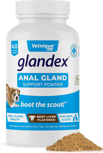 Glandex Dog Fiber Supplement Powder For Anal Glands With Pumpkin, Digestive Enzymes & Dog Probiotics For Digestive Health - Vet Recommended - Boot The Scoot (Beef Liver, 4.0Oz Powder)