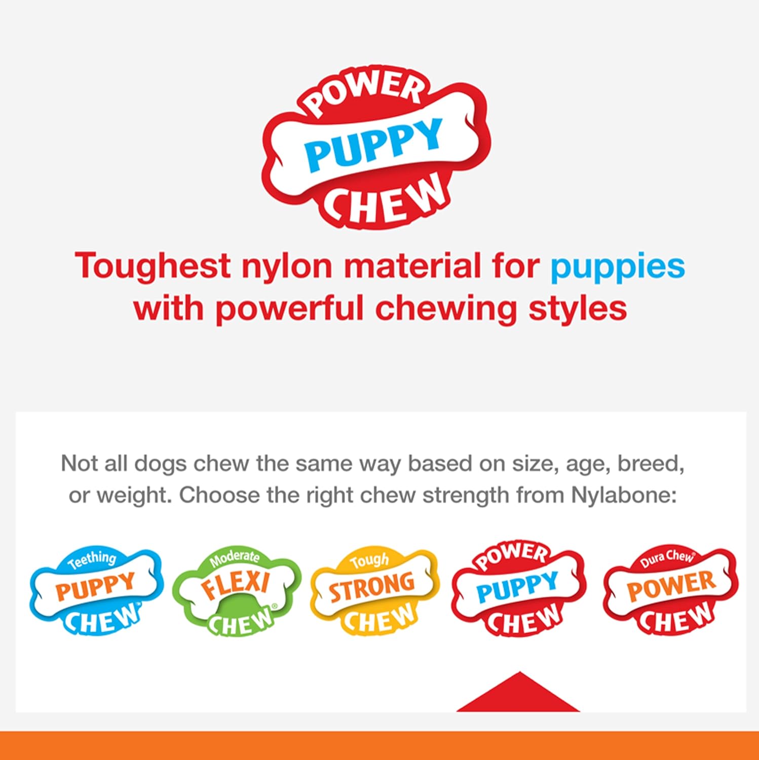 Pet Supplies : Nylabone Puppy Power Chew Toy - Tough and Durable Puppy Chew Toy for Teething - Puppy Supplies - Bacon & Beef Broth Flavor, Small (2 Count) : Amazon.com