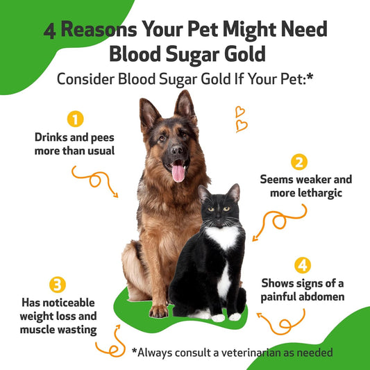 Pet Wellbeing - Blood Sugar Gold Value Size For Dogs & Cats - Natural Support For Healthy Blood Sugar Levels In Your Pet With Diabetes - 4 Oz (118Ml)