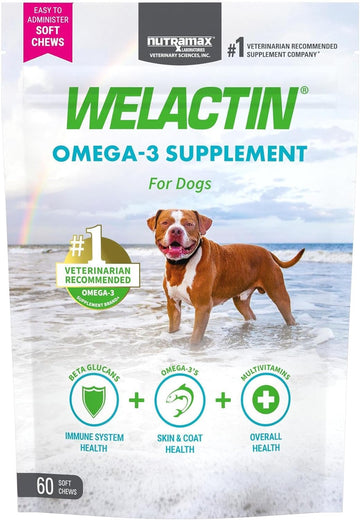 Nutramax Welactin Daily Omega-3 Supplement For Dogs, Skin & Coat Health Plus Overall Health, 60 Soft Chews