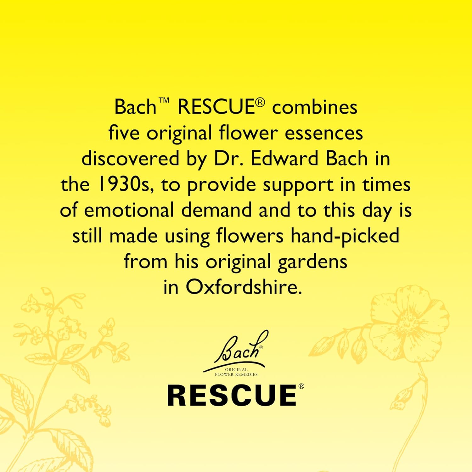 Rescue Remedy, Pastilles, Blackcurrant Flavour, Emotional Wellness & Balance, Vegetarian, Alcohol-Free, No Milk or Gluten, Easy To Use, 50g : Amazon.co.uk: Health & Personal Care