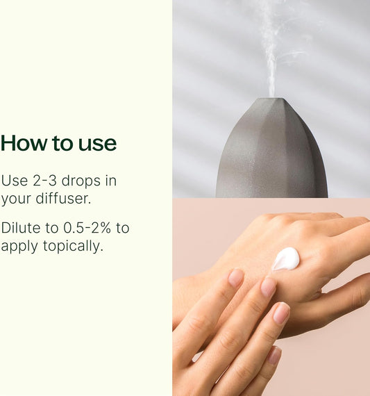 Plant Therapy Germ Fighter Essential Oil Blend Pure, Natural Aromatherapy, For Diffusion & Topical Use, Diy Multi-Surface Cleaner, Hand Cleanser, Home Or Office Use, Therapeutic Grade 10 Ml (1/3 Oz)