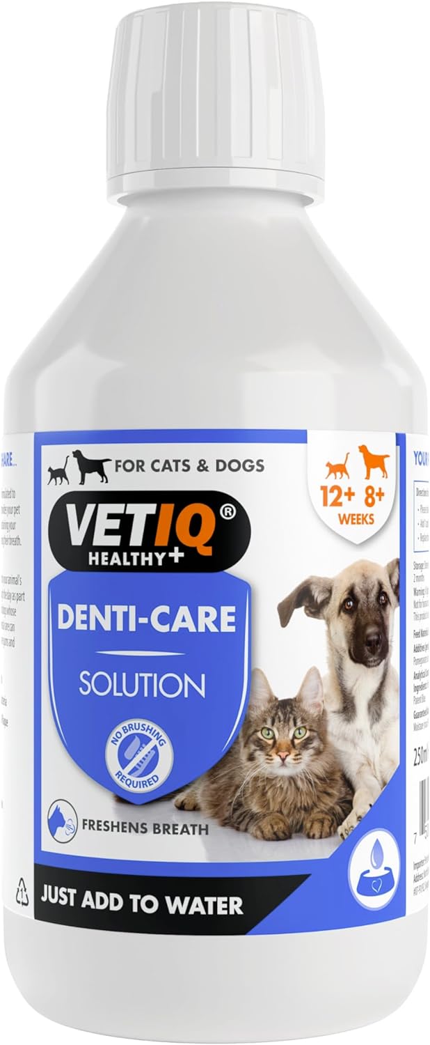 VETIQ Denti-Care Solution For Cats & Dogs, Simply Add to Drinking Water to Reduce Dental Plaque and Freshen Bad Breath, 250 mlMCH0105