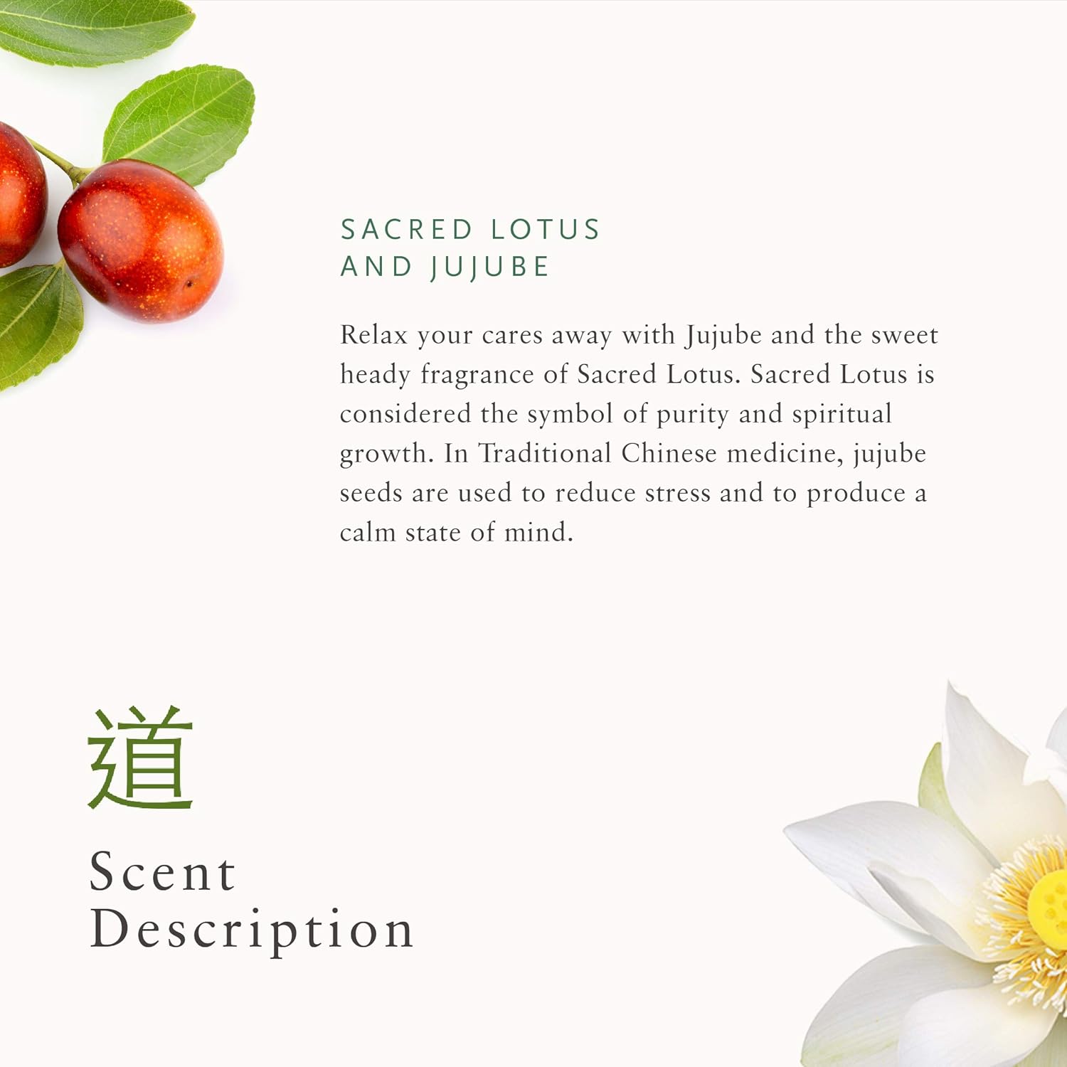 RITUALS The Ritual of Jing Hand Lotion, 70 ml, 1106886 : Amazon.co.uk: Beauty