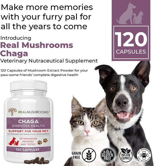 Chaga Pet Support Mushroom Supplement (120ct) Cat & Dog Vitamins for Immune Defense & Digestion Support - Vet Approved Mushroom Dog Vitamins and Supplements, Grain-Free, Gluten-Free