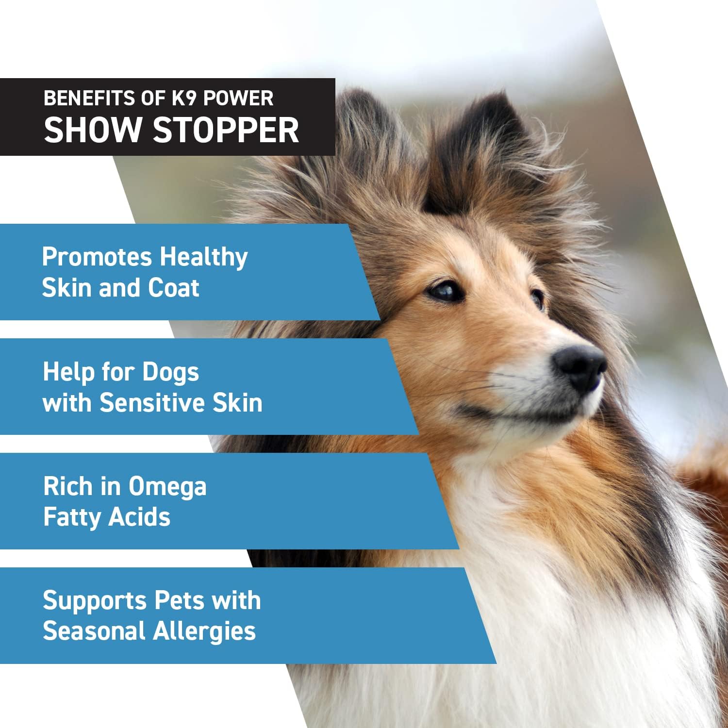 K9 Power Show Stopper - Premium Dog Skin Supplement, Dog Seasonal Allergy Relief, Dog Probiotics for Itchy Skin That Reduces Hot Spots and Excessive Shedding, 1lb : Pet Supplies