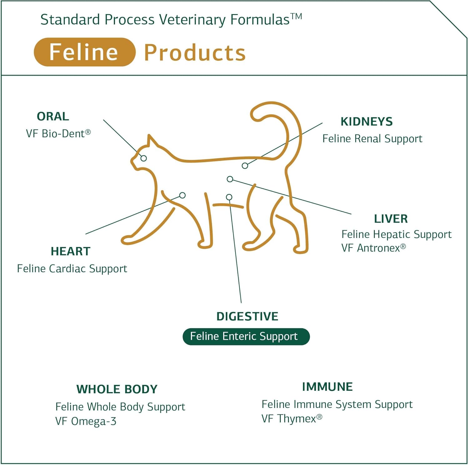 Standard Process - Feline Enteric Support - 90 Tablets : Multiple Vitamin Mineral Supplements : Pet Supplies
