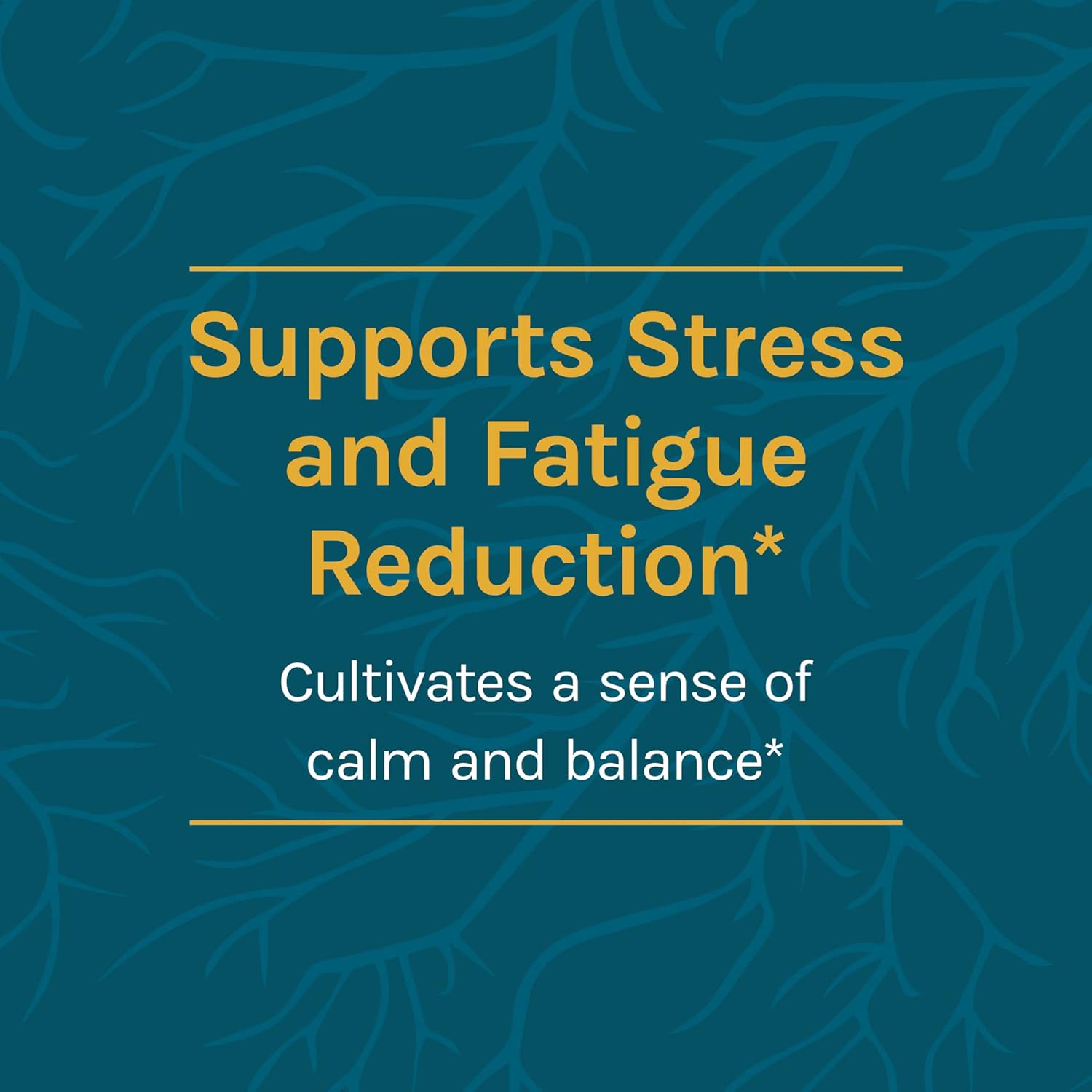 Host Defense, CordyChi Extract, Stress and Fatigue Reduction, Mushroom Supplement with Cordyceps and Reishi, Plain, 2   (Pack of 1)