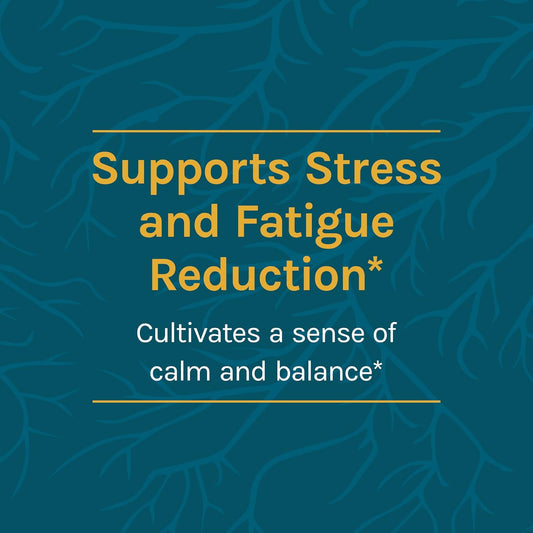 Host Defense, CordyChi Extract, Stress and Fatigue Reduction, Mushroom Supplement with Cordyceps and Reishi, Plain, 2   (Pack of 1)