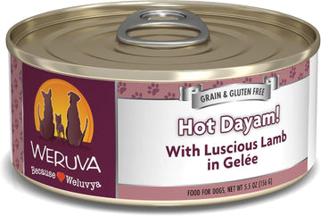 Weruva Classic Dog Food, Hot Dayam! With Lamb In Gelée, 5.5Oz Can (Pack Of 24)