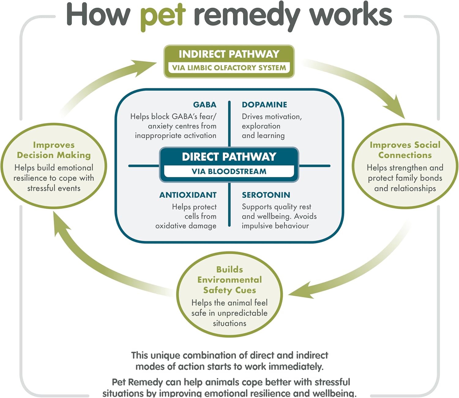 Pet Remedy Natural Calming Refill for Spray and Battery Atomiser 300ml : Amazon.co.uk: Pet Supplies