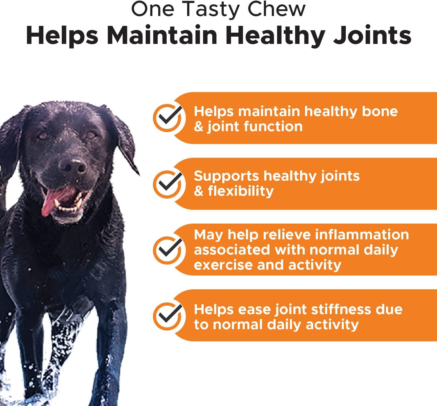 PetHonesty Allergy Support + Hip & Joint Health Soft Chew Bundle - Skin & Seasonal Pollen Allergies - Itch Relief for Dogs - Joint support, Chondroitin, MSM, Turmeric, Pet Joint Pain Relief Vitamin : Pet Supplies