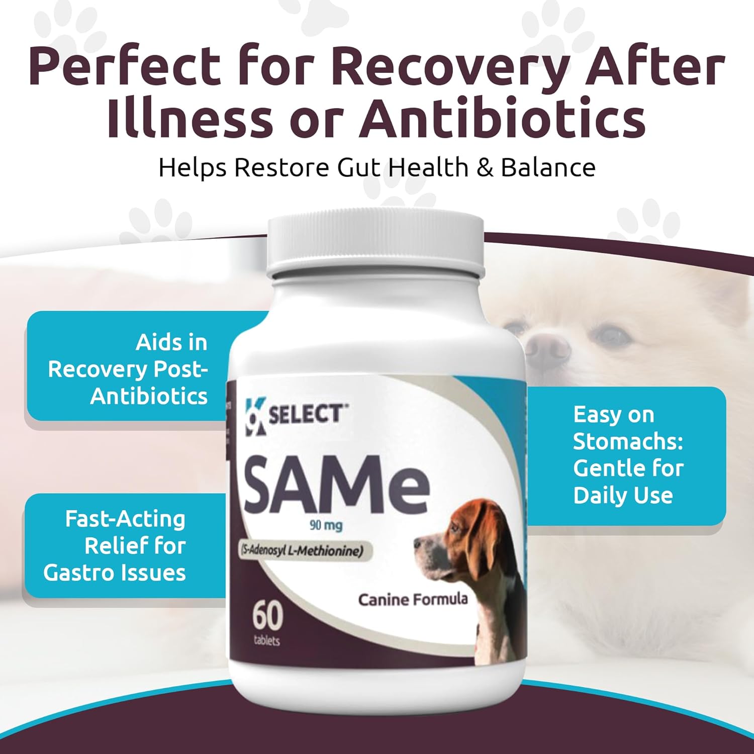 K9 Select Probiotic For Dogs, With Inulin - 90 Chewable Tablets - Supports Healthy Digestion And Nutrient Absorption - Dog Probiotics And Digestive Enzymes - Probiotics For Dogs Digestive Health : Pet Supplies