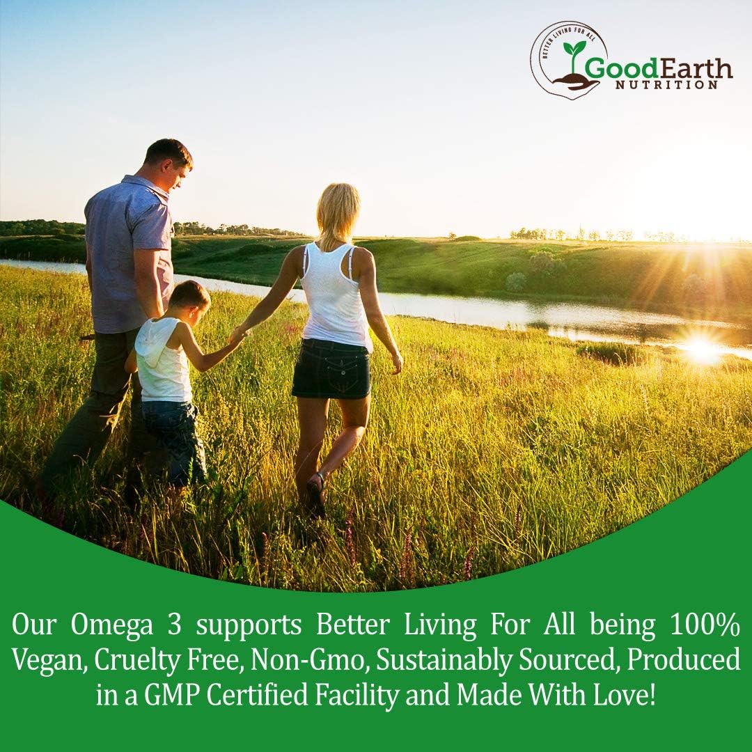 Algal Oil - Vegan Dha Omega 3 Fish Oil Supplements - Brain Booster,Supplement & Prenatal Vitamin -Provides Healthy Heart & Immune Support - Burpless Algae Supplement - 60 Mini Fish Softgels : Health & Household