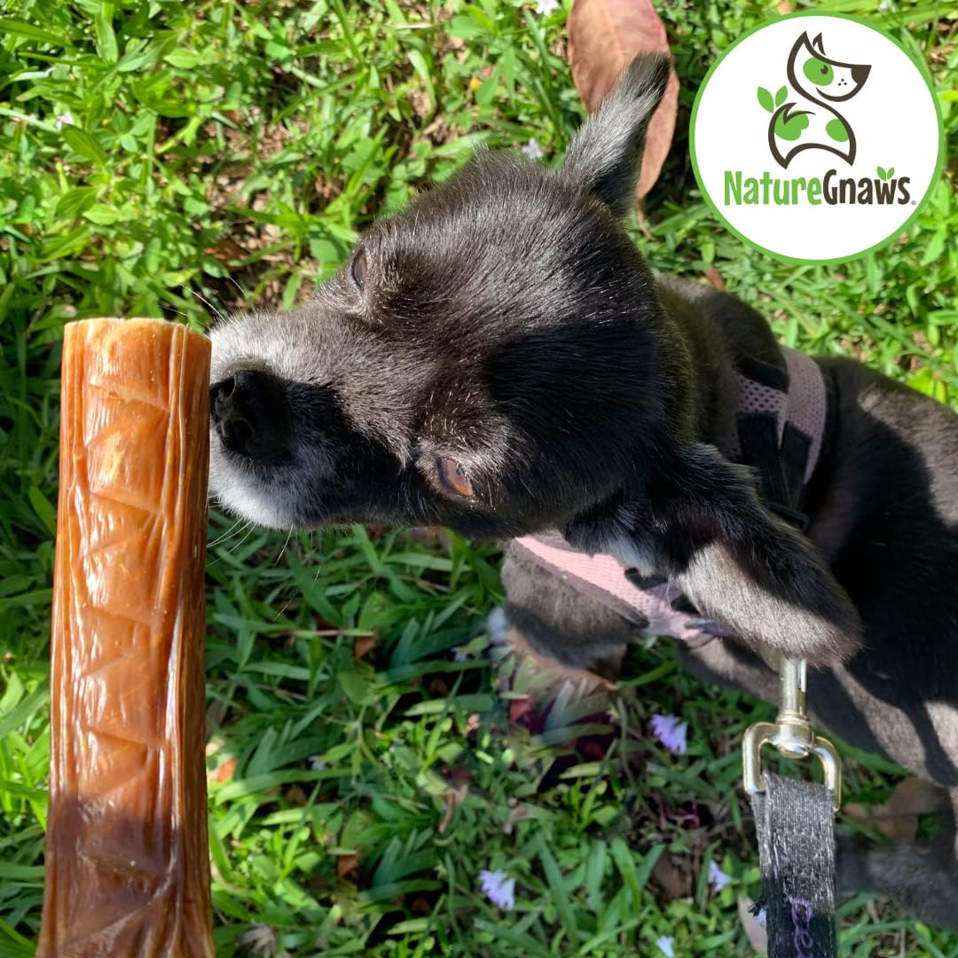 Nature Gnaws Beef Jerky Stuffed Rolls for Dogs - Single Ingredient Beef Gullet Chew Treats - Simple Natural Delicious Dog Chews - Training Reward - 5 Inch - 6 Count : Pet Supplies