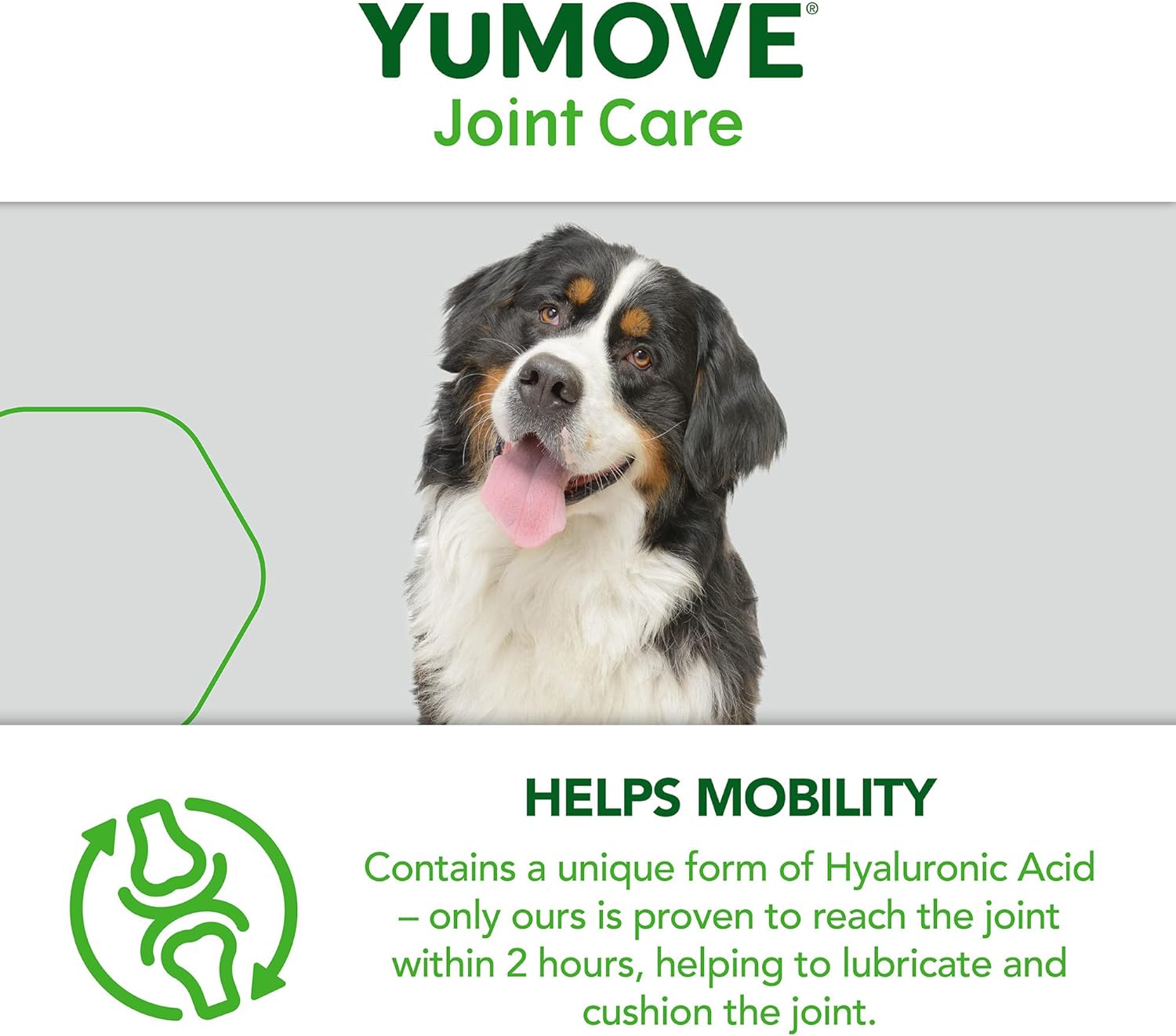 YuMOVE Senior Dog Tablets | Higher Strength Hip and Joint Supplement for Dogs with Glucosamine, Hyaluronic Acid, Green Lipped Mussel | Dogs Aged 8+ | 240 Tablets : Pet Supplies
