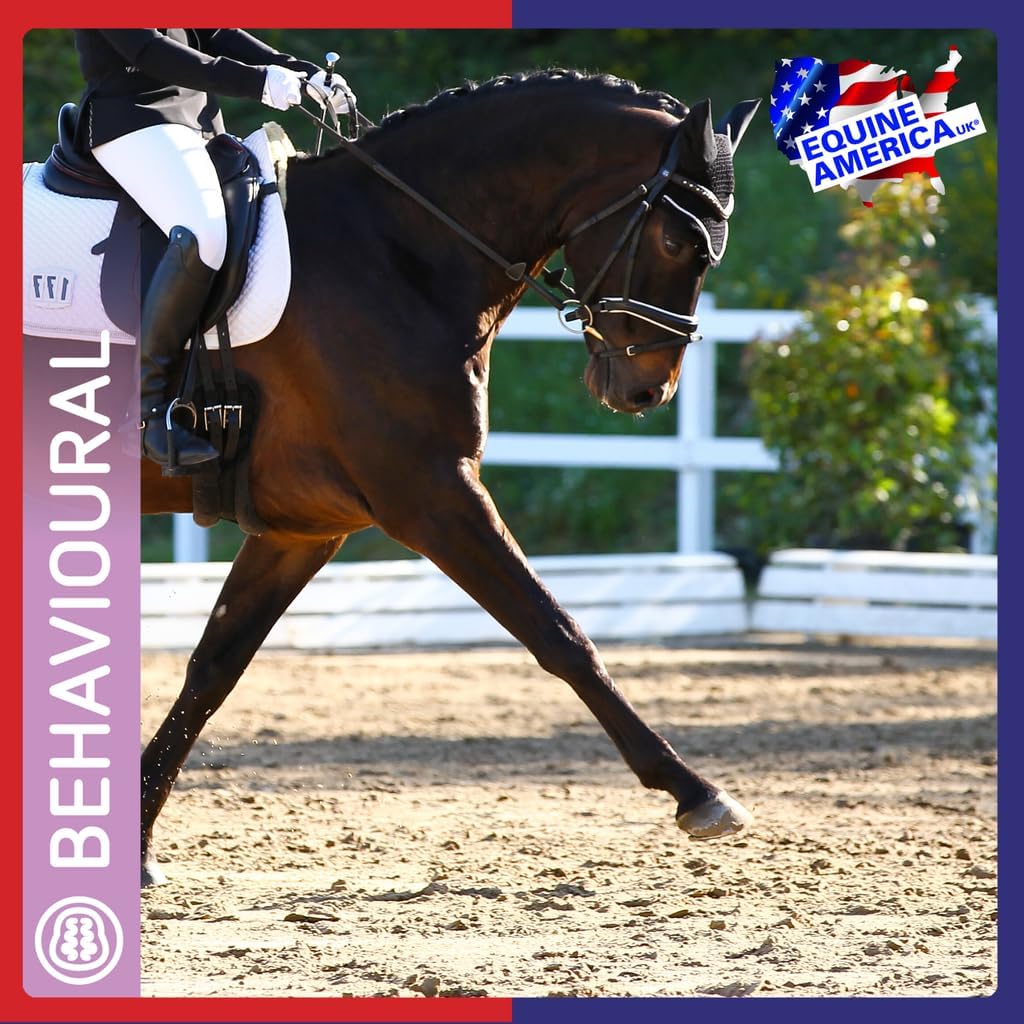 Equine America So-Kalm Solution 1L : Amazon.co.uk: Pet Supplies