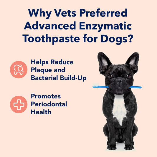 Vets Preferred Dog Enzymatic Toothpaste – Safe and Natural Dog Oral Care Toothpaste – Freshens Breath, Fights Plaque and Reduces Tatar – Tasty Peanut Butter Flavor – 3 Oz