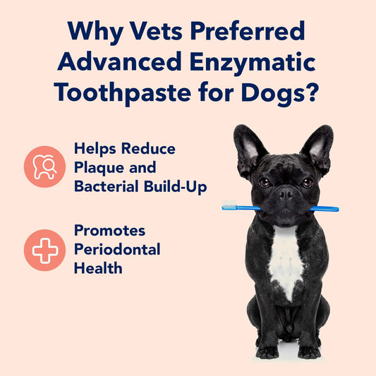 Vets Preferred Dog Enzymatic Toothpaste – Safe And Natural Dog Oral Care Toothpaste – Freshens Breath, Fights Plaque And Reduces Tatar – Tasty Peanut Butter Flavor – 3 Oz