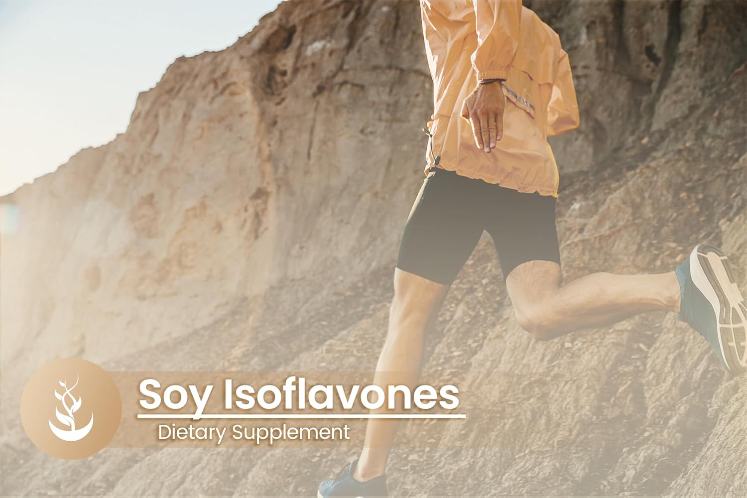Pure Original Ingredients Soy Isoflavones, (100 Capsules) Always Pure, No Additives or Fillers, Lab Verified : Health & Household