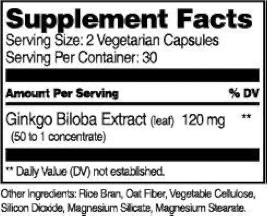 21st Century Ginkgo Biloba Extract Vegetarian Capsules - 60 ct, Pack of 3