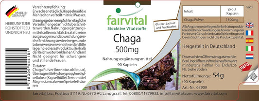 Fairvital | Chaga 500mg - VEGAN - HIGH DOSAGE - 90 capsules - Inonotus obliquus - mushroom powder