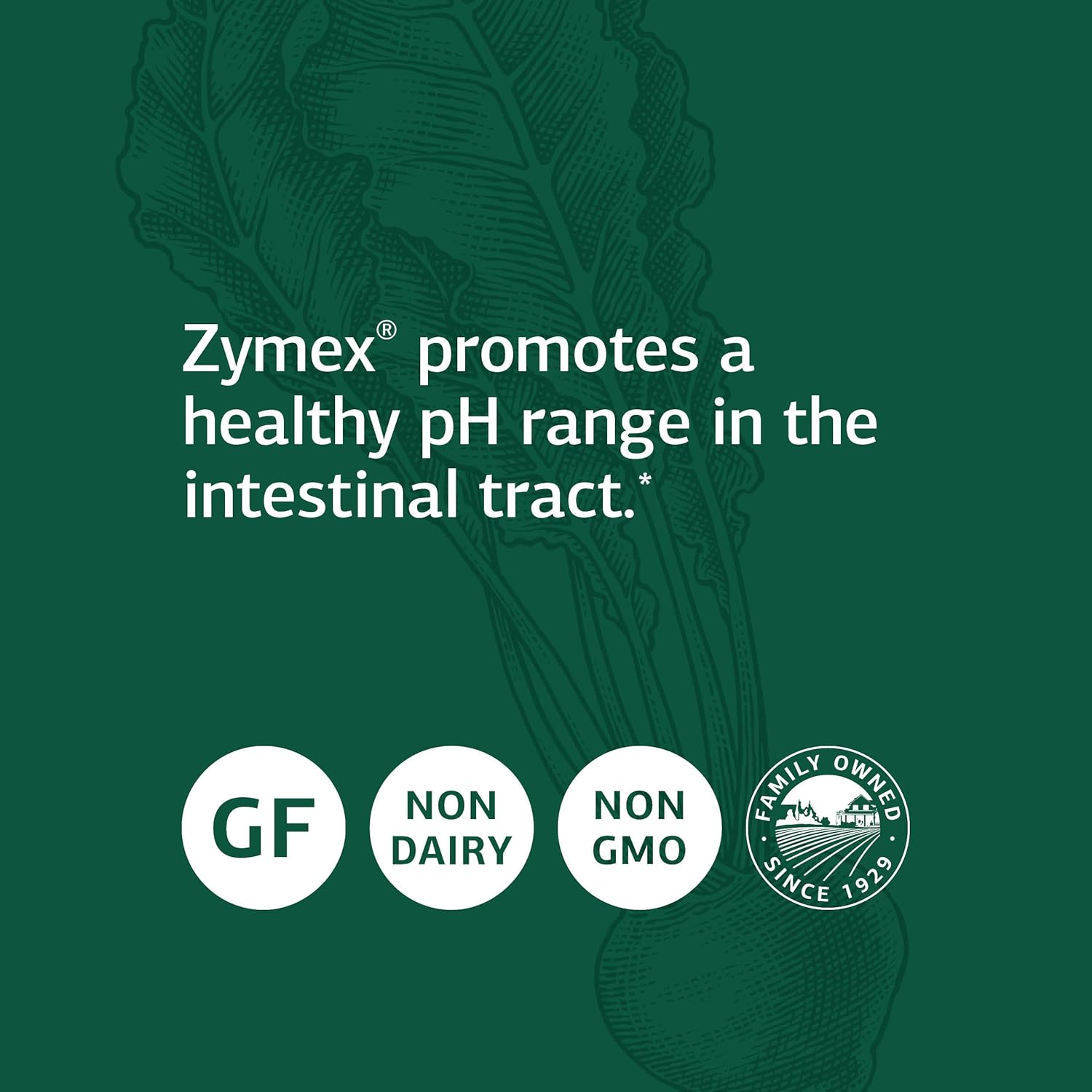 Standard Process Zymex Capsules - Whole Food Digestion and Digestive Health with Rice Bran, Spanish Moss, and Beet Root - 150 Capsules : Health & Household