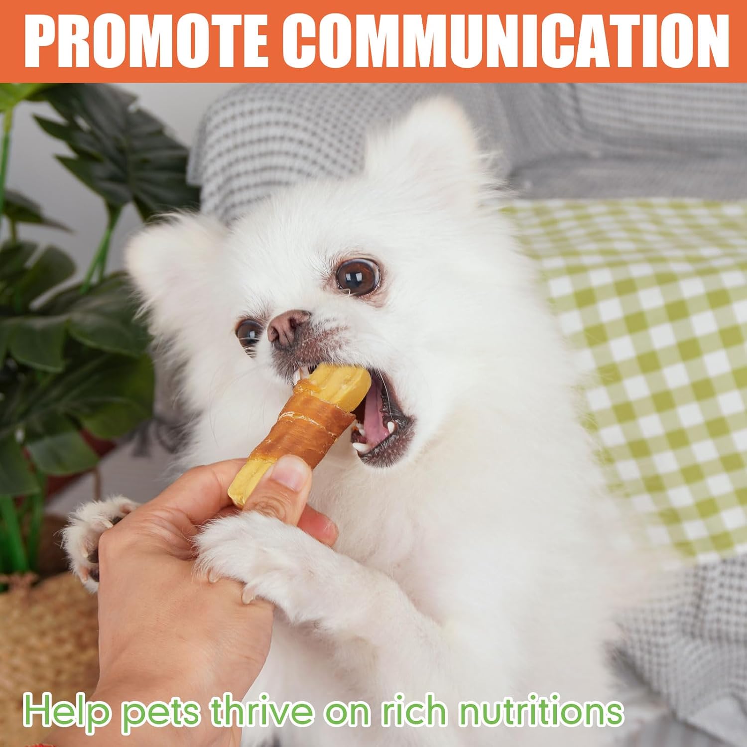 MON2SUN Rawhide Free Dog Treats, 2.75 Inch Real Chicken Wrapped Bones for Puppy and Small Dogs, Soft and Healthy Dog Snacks with Added Vitamins, 14.1oz (16 Count-Pack of 1) : Pet Supplies