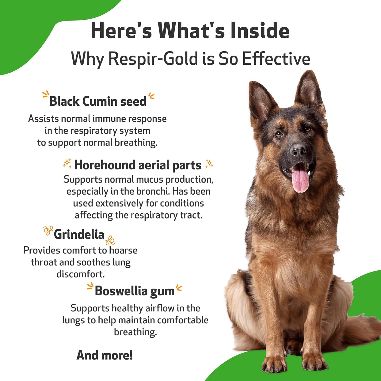 Pet Wellbeing Respir-Gold for Dogs - Vet-Formulated - Easy Breathing, Open Airways, Respiratory Support - Natural Herbal Supplement 2 oz (59 ml) : Pet Supplies