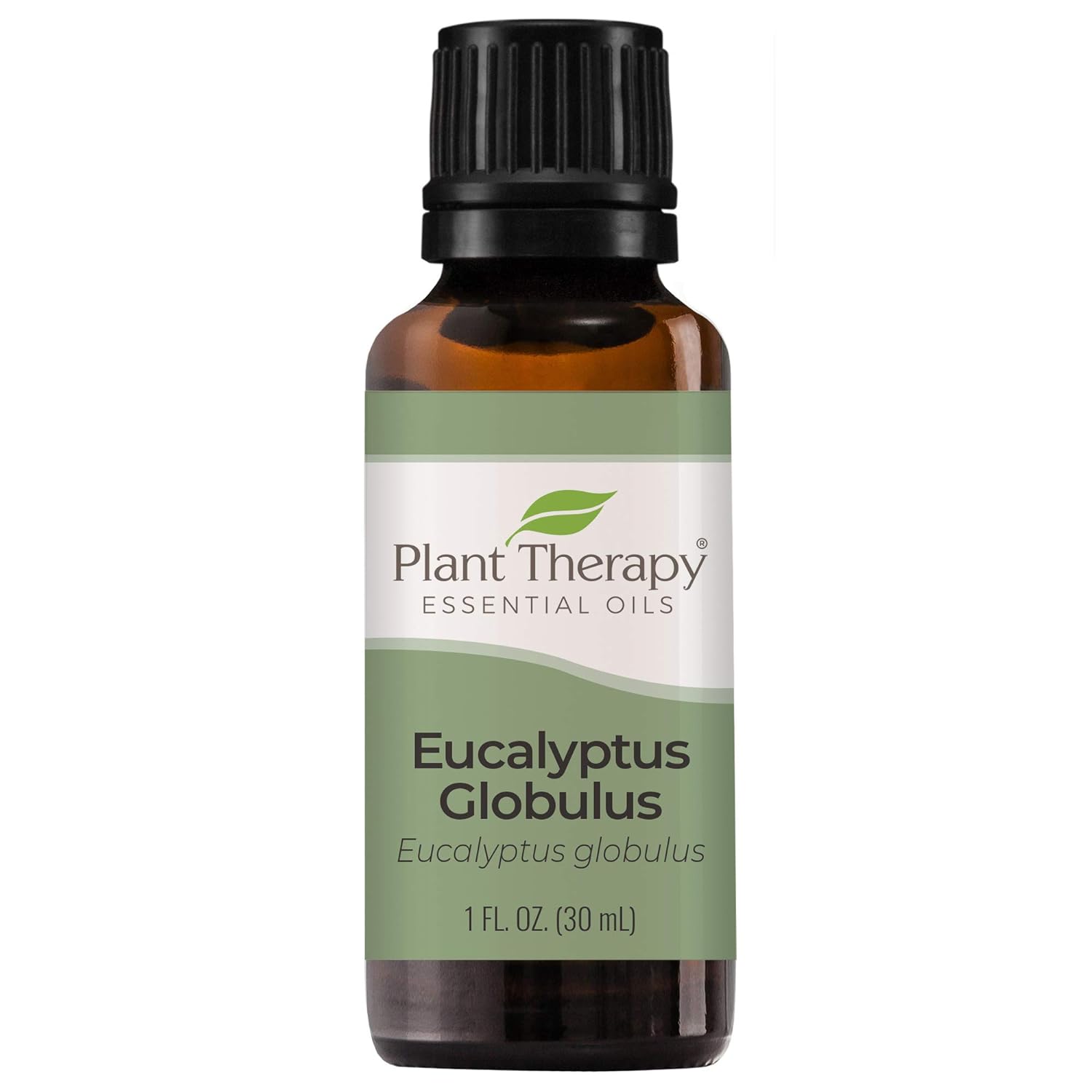 Plant Therapy Eucalyptus Globulus Essential Oil 30 Ml (1 Oz) For Diffuser, Skin, Hair, Aromatherapy Diys, And Clear Breathing, 100% Pure, Undiluted, Therapeutic Grade