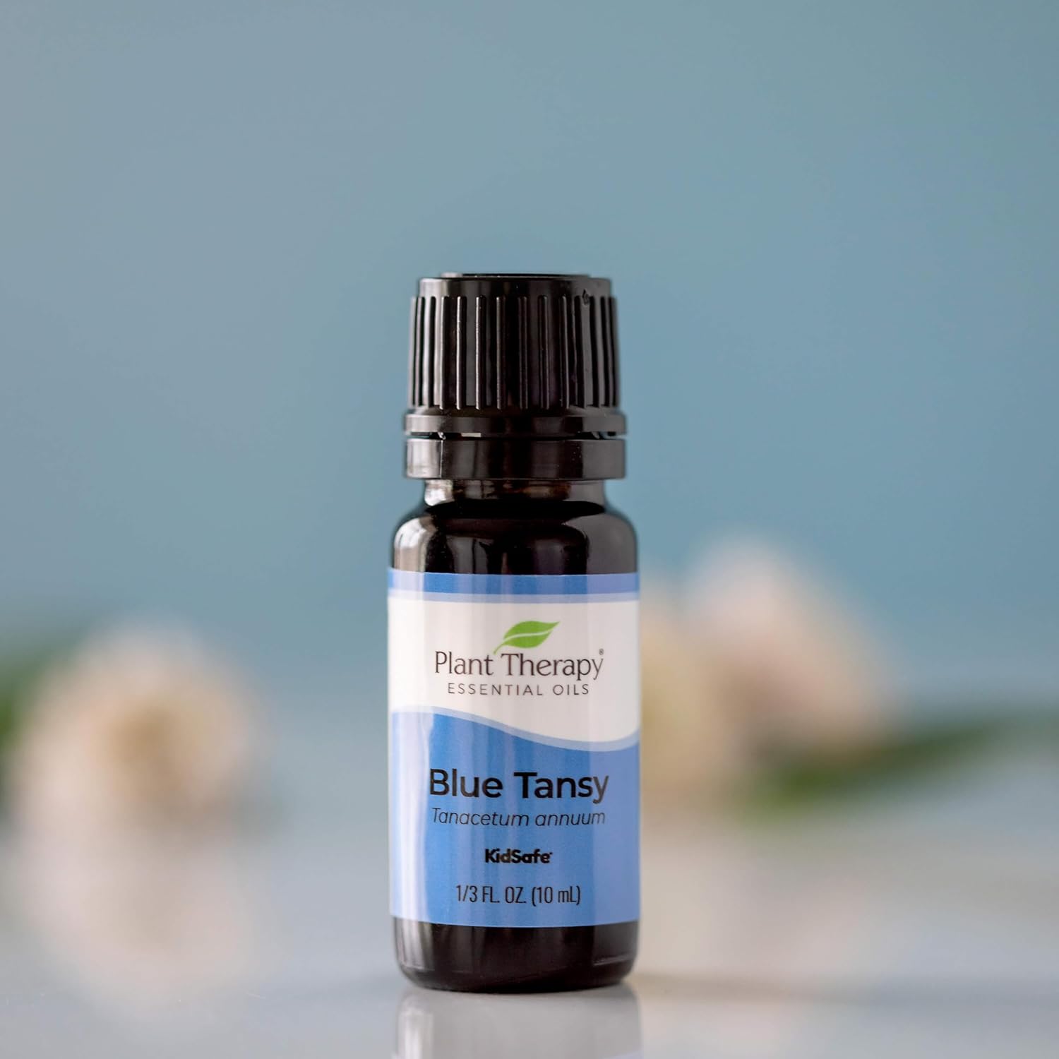Plant Therapy Blue Tansy Essential Oil 100% Pure, Undiluted, Natural Aromatherapy, Therapeutic Grade 10 mL (1/3 oz) : Health & Household